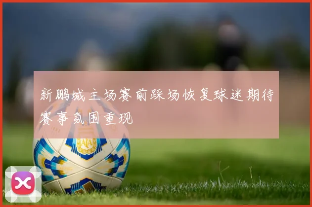 新鹏城主场赛前踩场恢复球迷期待赛事氛围重现